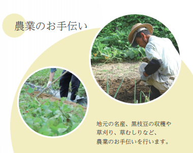 農業のお手伝い。地元の名産黒枝豆の収穫、草刈り、草むしりなど。